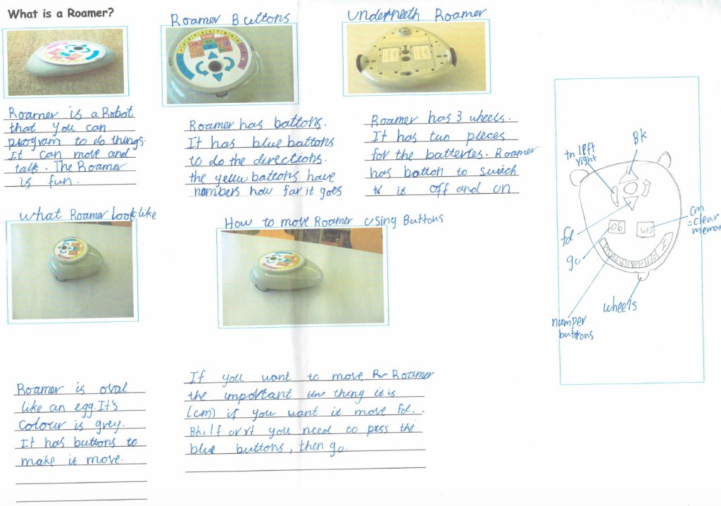 11. Ish Roamer explanation